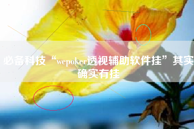 必备科技“wepoker透视辅助软件挂”其实确实有挂