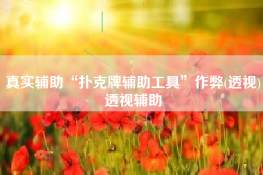 真实辅助“扑克牌辅助工具	”作弊(透视)透视辅助