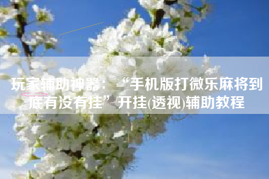 玩家辅助神器：“手机版打微乐麻将到底有没有挂	”开挂(透视)辅助教程