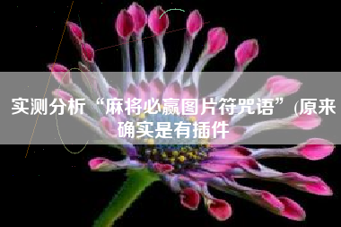 实测分析“麻将必赢图片符咒语	”(原来确实是有插件