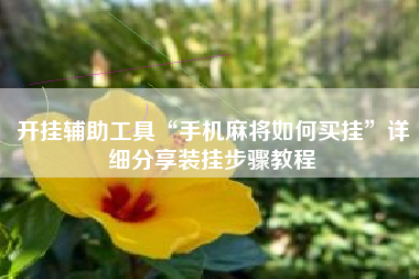 开挂辅助工具“手机麻将如何买挂”详细分享装挂步骤教程