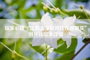 玩家必搜“江苏大宝麻将挂在哪里买”附开挂脚本详细