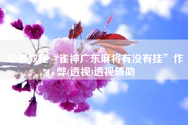 必看教程“雀神广东麻将有没有挂”作弊(透视)透视辅助