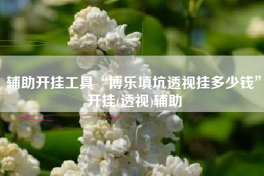辅助开挂工具“博乐填坑透视挂多少钱”开挂(透视)辅助