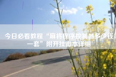 今日必看教程“麻将程序控制器多少钱一套”附开挂脚本详细