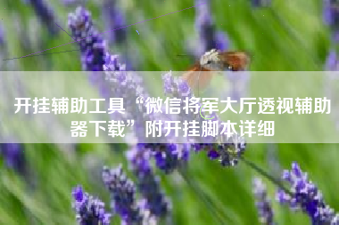 开挂辅助工具“微信将军大厅透视辅助器下载	”附开挂脚本详细