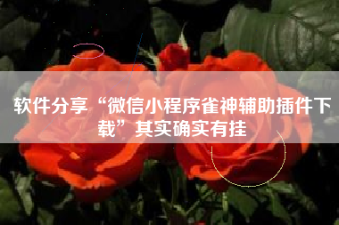 软件分享“微信小程序雀神辅助插件下载	”其实确实有挂