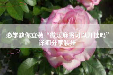 必学教你安装“微乐麻将可以开挂吗”详细分享装挂