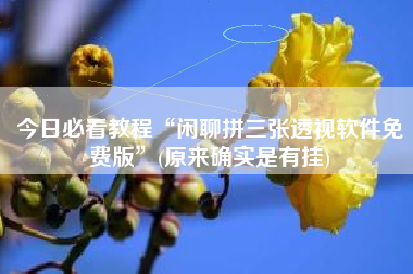 今日必看教程“闲聊拼三张透视软件免费版”(原来确实是有挂)