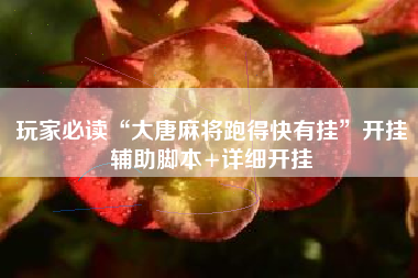 玩家必读“大唐麻将跑得快有挂”开挂辅助脚本+详细开挂