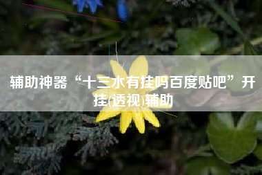 辅助神器“十三水有挂吗百度贴吧”开挂(透视)辅助