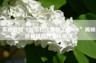 实操教程“河洛杠次辅助工具ed2k”揭秘透视辅助万能挂用法