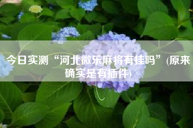 今日实测“河北微乐麻将有挂吗	”(原来确实是有插件)