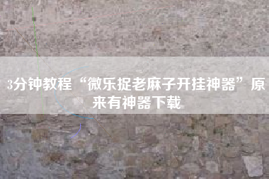 3分钟教程“微乐捉老麻子开挂神器	”原来有神器下载