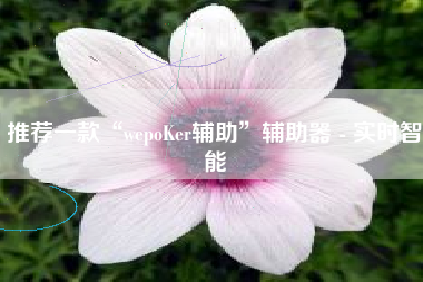 推荐一款“wepoKer辅助	”辅助器 - 实时智能