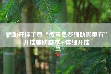 辅助开挂工具“微乐免费辅助哪里有	”开挂辅助脚本+详细开挂