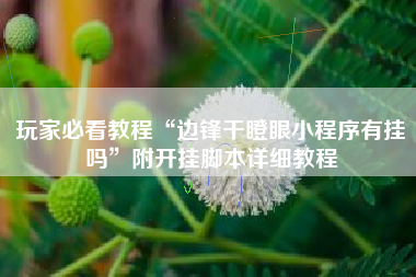 玩家必看教程“边锋干瞪眼小程序有挂吗	”附开挂脚本详细教程