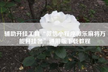 辅助开挂工具“微信小程序微乐麻将万能开挂器	”通用版下载教程