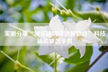实测分享“微乐跑得快透视软件”科技辅助神器手机