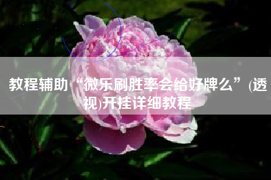 教程辅助“微乐刷胜率会给好牌么”(透视)开挂详细教程