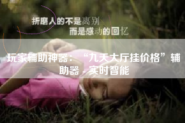 玩家辅助神器：“九天大厅挂价格”辅助器 - 实时智能