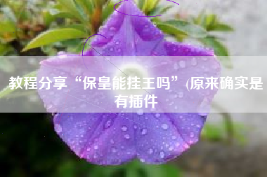 教程分享“保皇能挂王吗”(原来确实是有插件