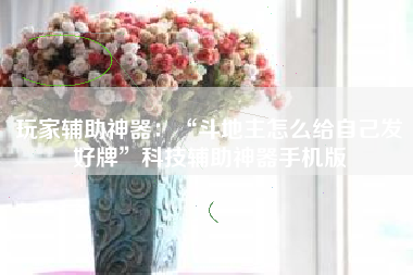 玩家辅助神器：“斗地主怎么给自己发好牌”科技辅助神器手机版